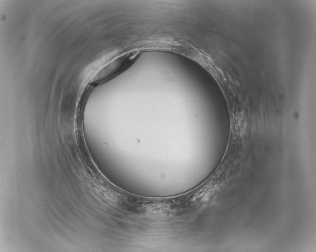 X0000059800340200511111607