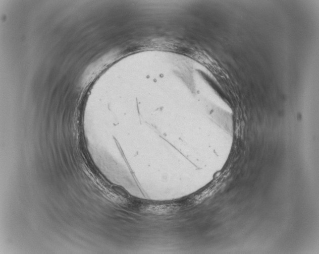 X0000059800341200511111607