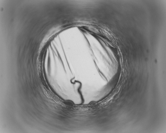 X0000059800343200511111607