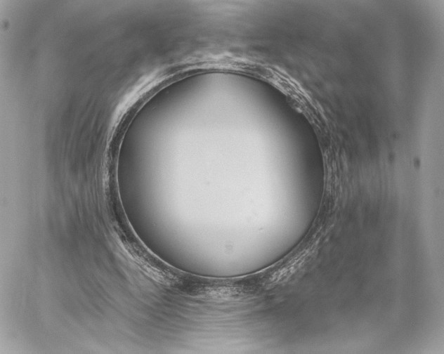 X0000059800344200511111607