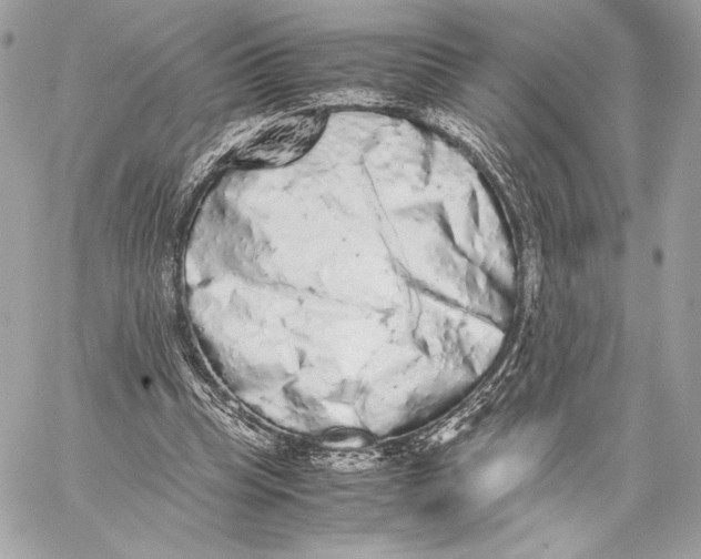 X0000059800345200511111607