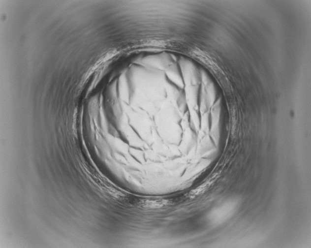 X0000059800346200511111607