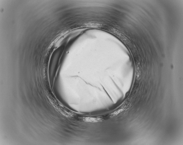 X0000059800347200511111607