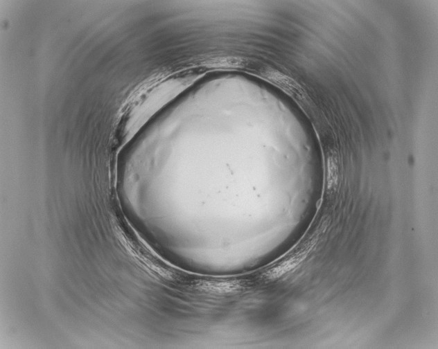 X0000059800349200511111607