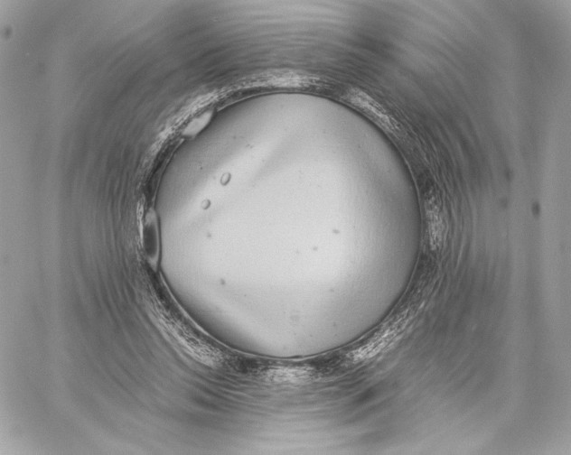 X0000059800350200511111607