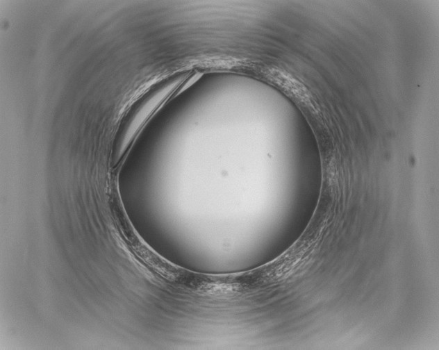 X0000059800352200511111607