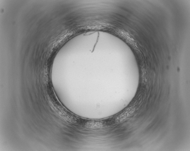 X0000059800354200511111607