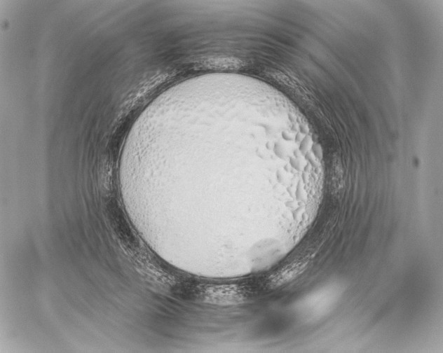 X0000059800355200511111607