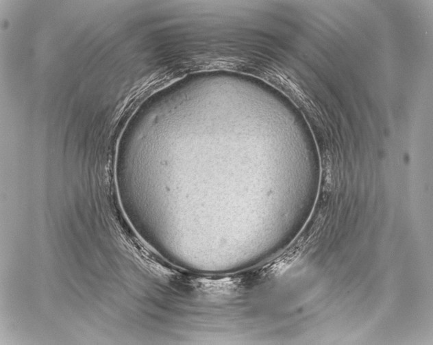 X0000059800357200511111607