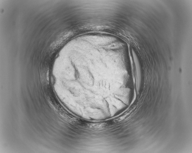 X0000059800358200511111607