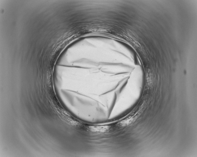 X0000059800359200511111607