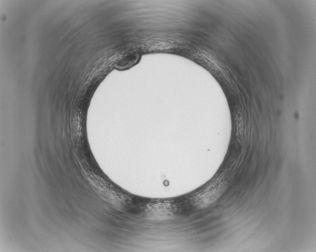 X0000059800362200511111607