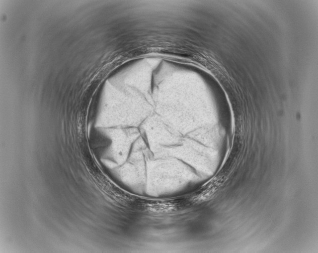 X0000059800363200511111607