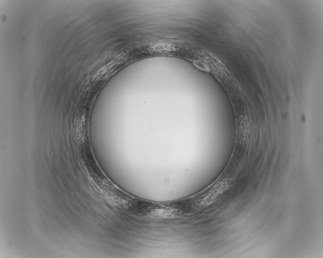 X0000059800364200511111607