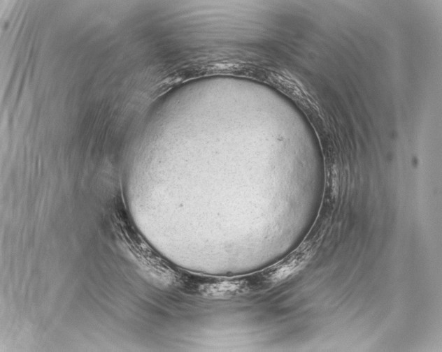 X0000059800366200511111607