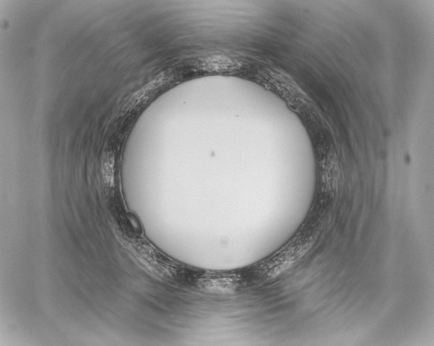 X0000059800368200511111607