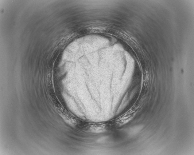 X0000059800369200511111607