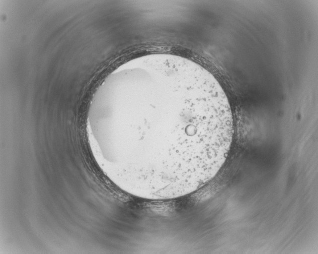 X0000059800370200511111607