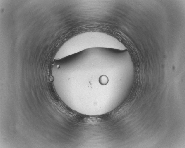 X0000059800372200511111607