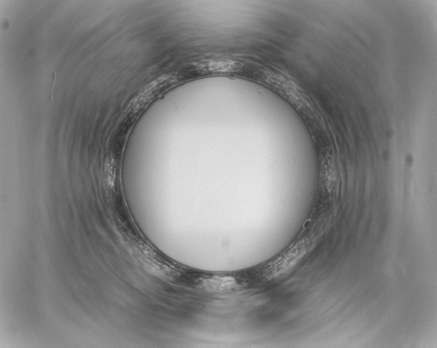 X0000059800374200511111607