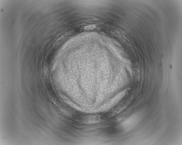 X0000059800375200511111607