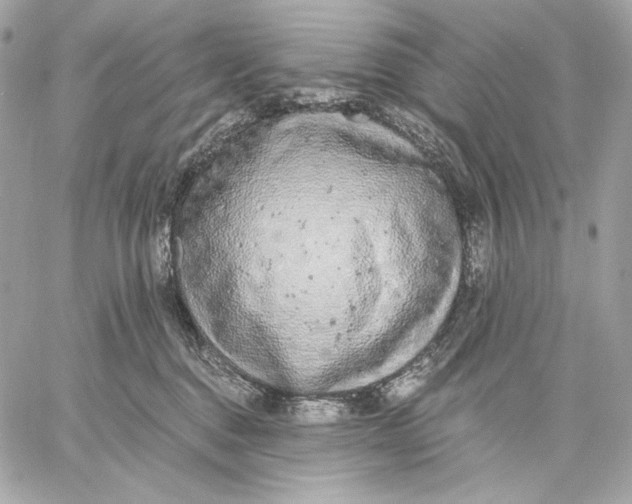 X0000059800376200511111607