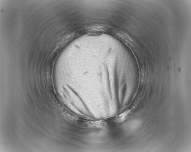 X0000059800377200511111607