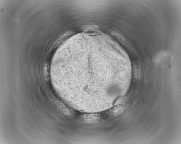 X0000059800378200511111607