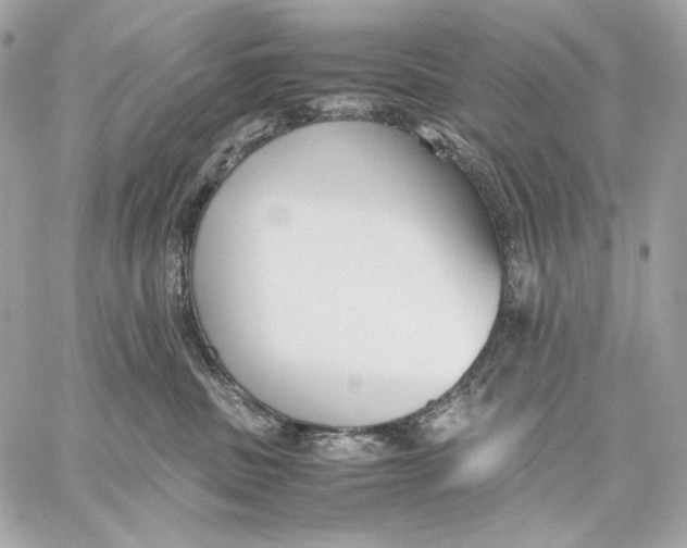 X0000059800379200511111607