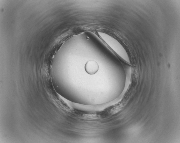 X0000059800380200511111607