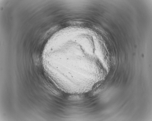 X0000059800381200511111607