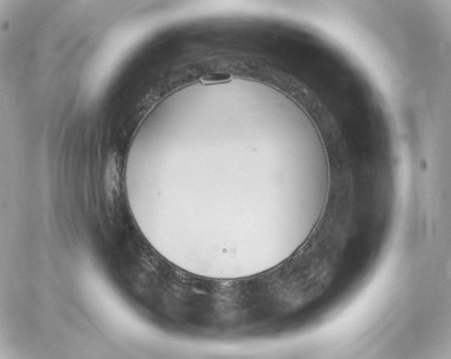 X0000059800382200511111607