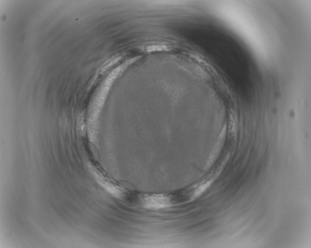 X0000059800383200511111607