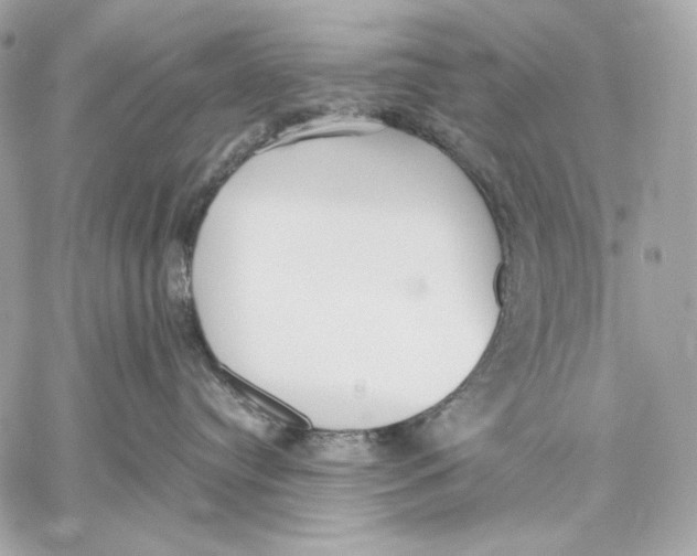 X0000059800384200511111607