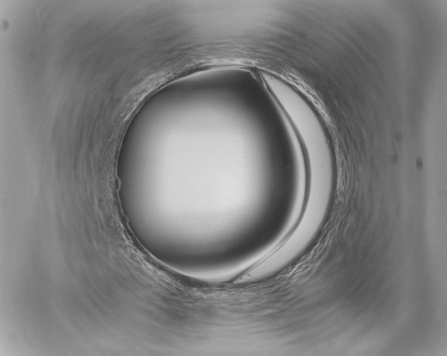 X0000059800385200511111606