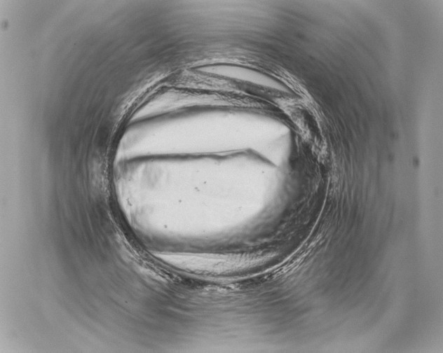 X0000059800386200511111606