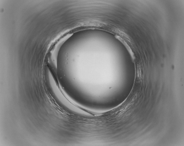 X0000059800388200511111606