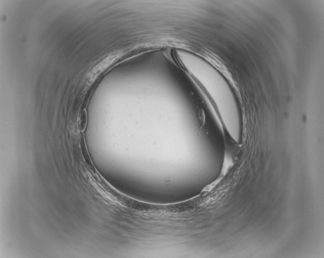 X0000059800389200511111606