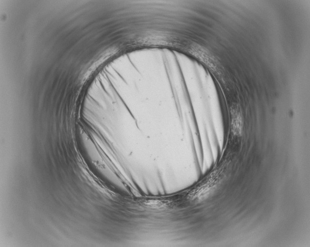 X0000059800390200511111606