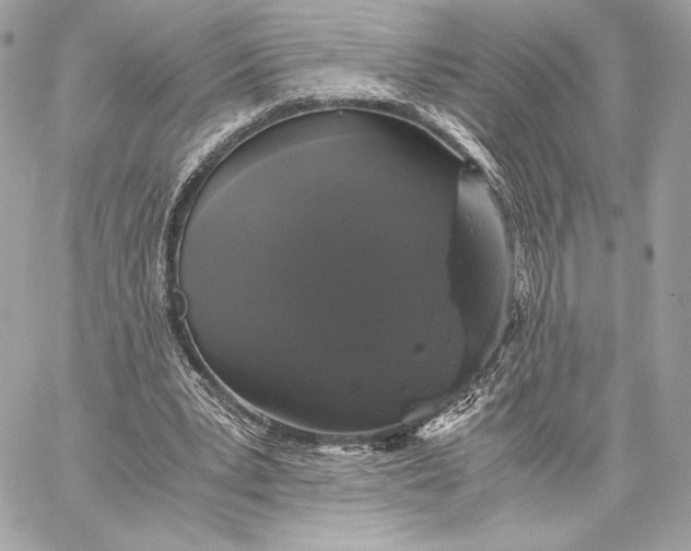 X0000059800391200511111606