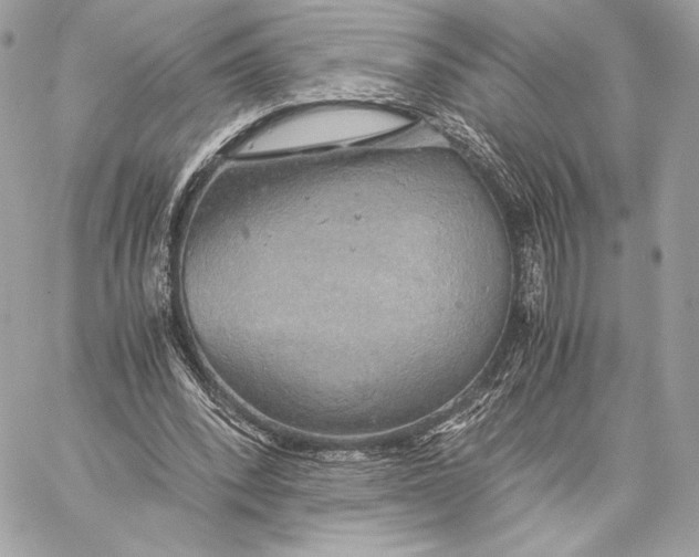 X0000059800392200511111606