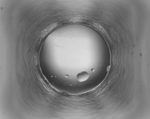 X0000059800393200511111606