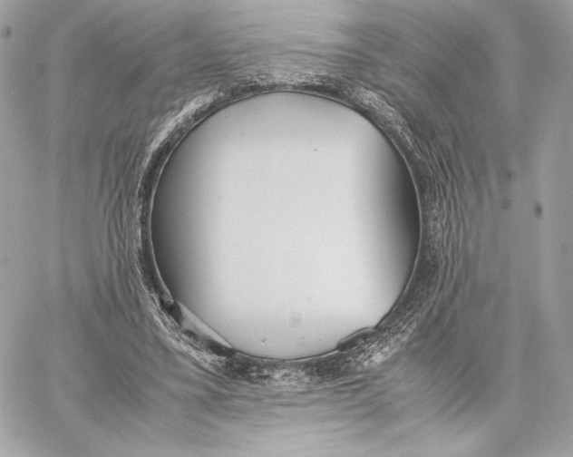 X0000059800395200511111606