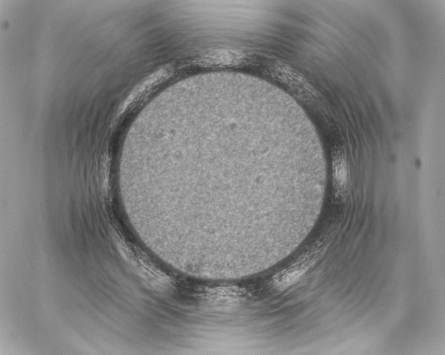 X0000059800396200511111606