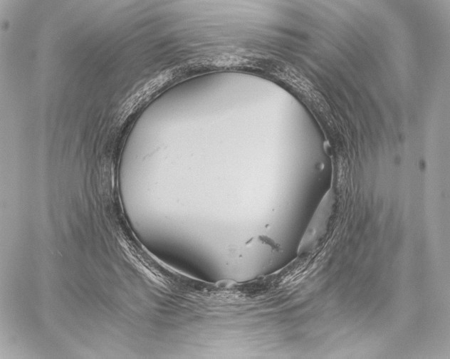 X0000059800397200511111606