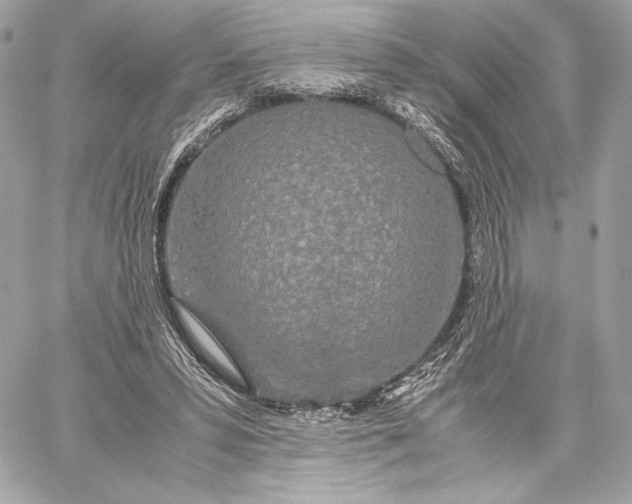 X0000059800399200511111606