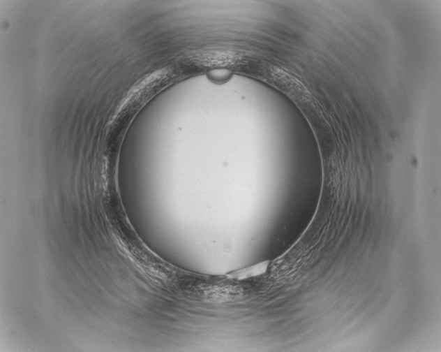 X0000059800400200511111606