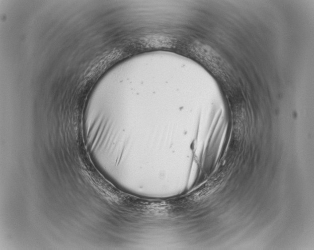 X0000059800402200511111606