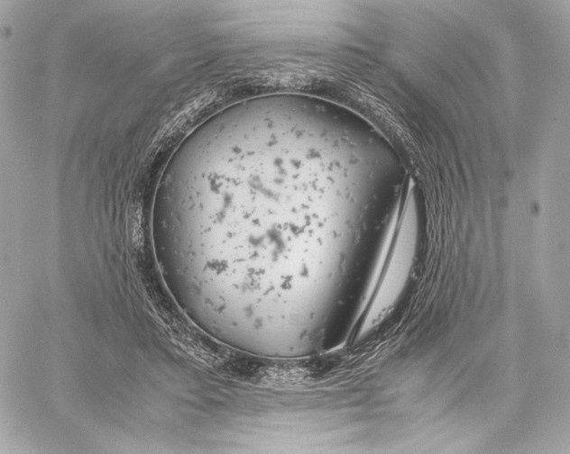 X0000059800403200511111606