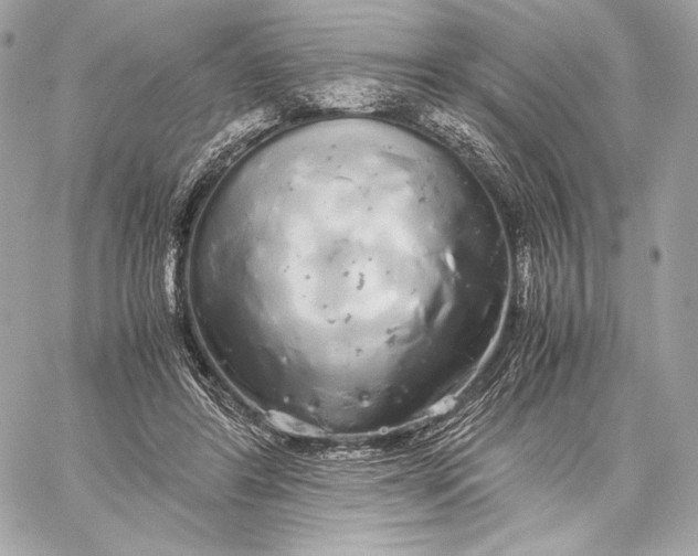 X0000059800404200511111606